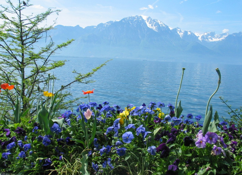 2006 05-Montreux Lake View.jpg